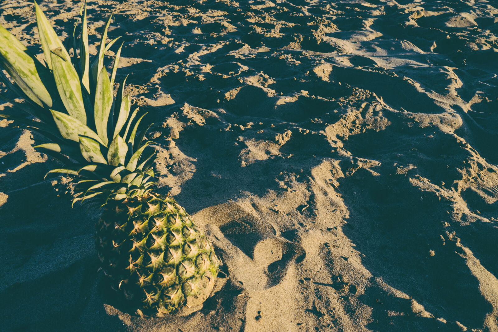 Sony Vario-Tessar T* FE 16-35mm F4 ZA OSS sample photo. Beach, beachlife, fruit, pineapple photography