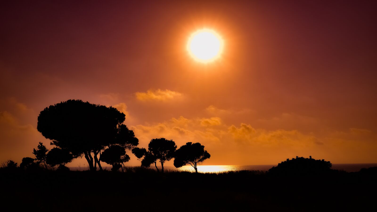 Nikon D3300 sample photo. Sunset, landscape, nature photography