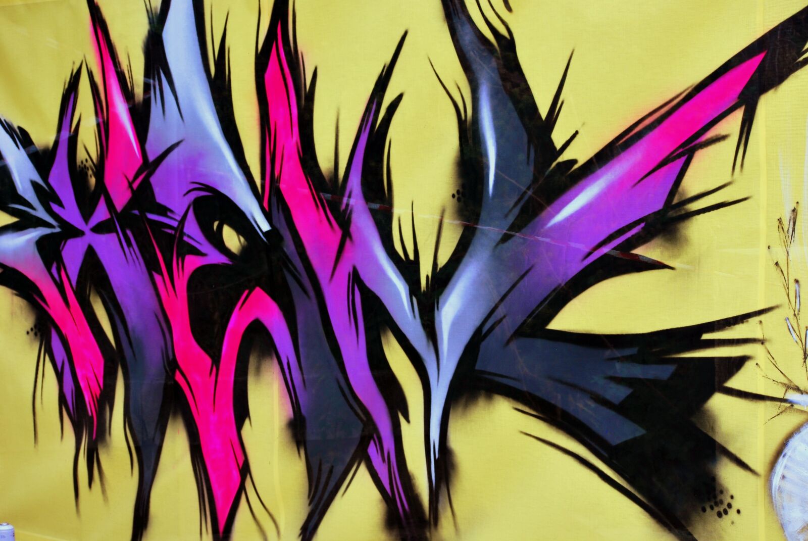 Nikon D60 sample photo. Graffiti, writes, game photography