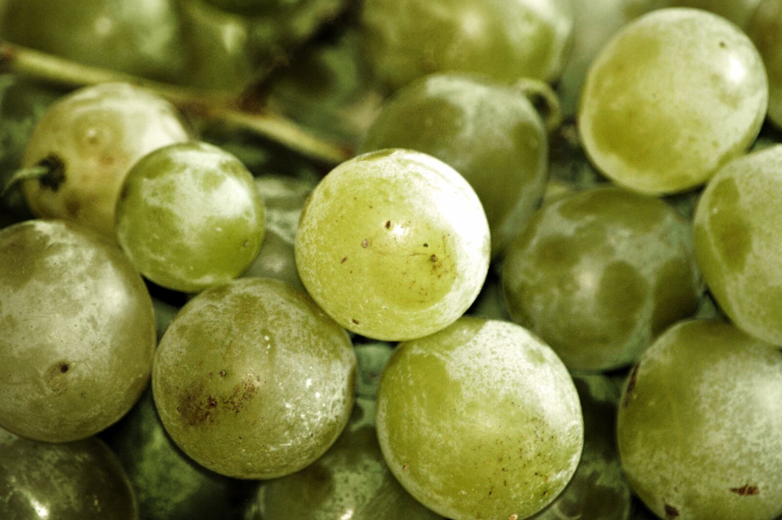 Nikon D3200 sample photo. Grapes, green, unwashed photography