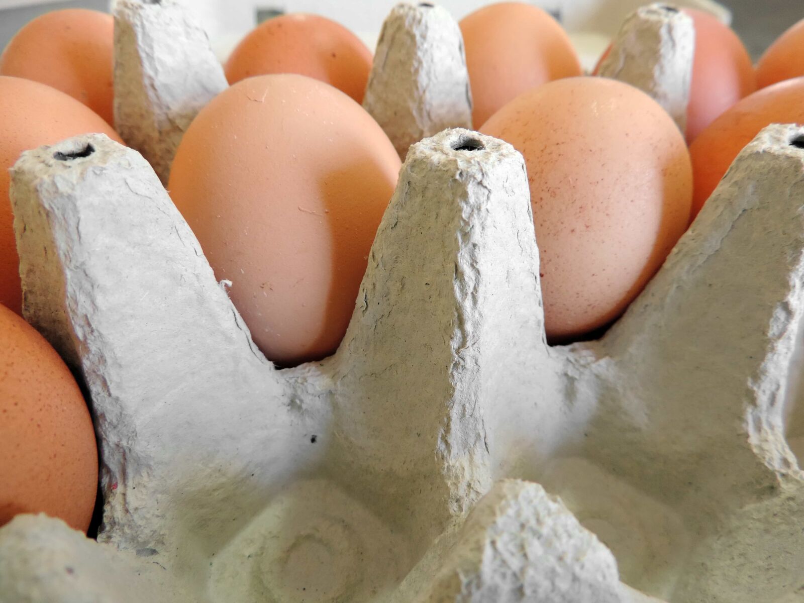 Nikon Coolpix P520 sample photo. Food, egg, shell, flour photography