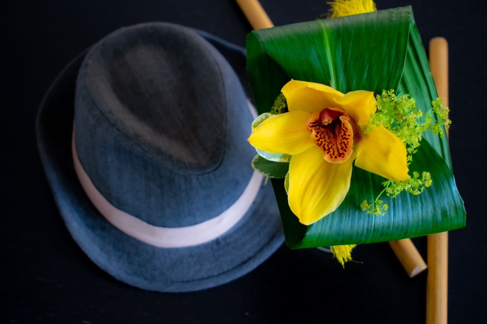 Nikon D5300 sample photo. Orchid, hat, wood photography