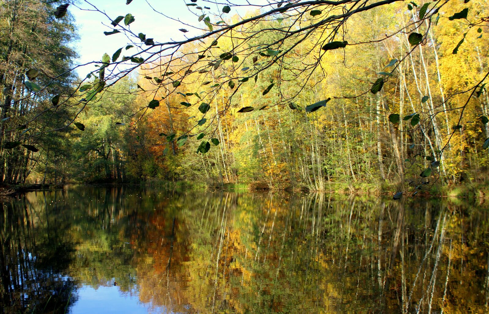 Canon EOS 1200D (EOS Rebel T5 / EOS Kiss X70 / EOS Hi) sample photo. Pond, water, autumn photography