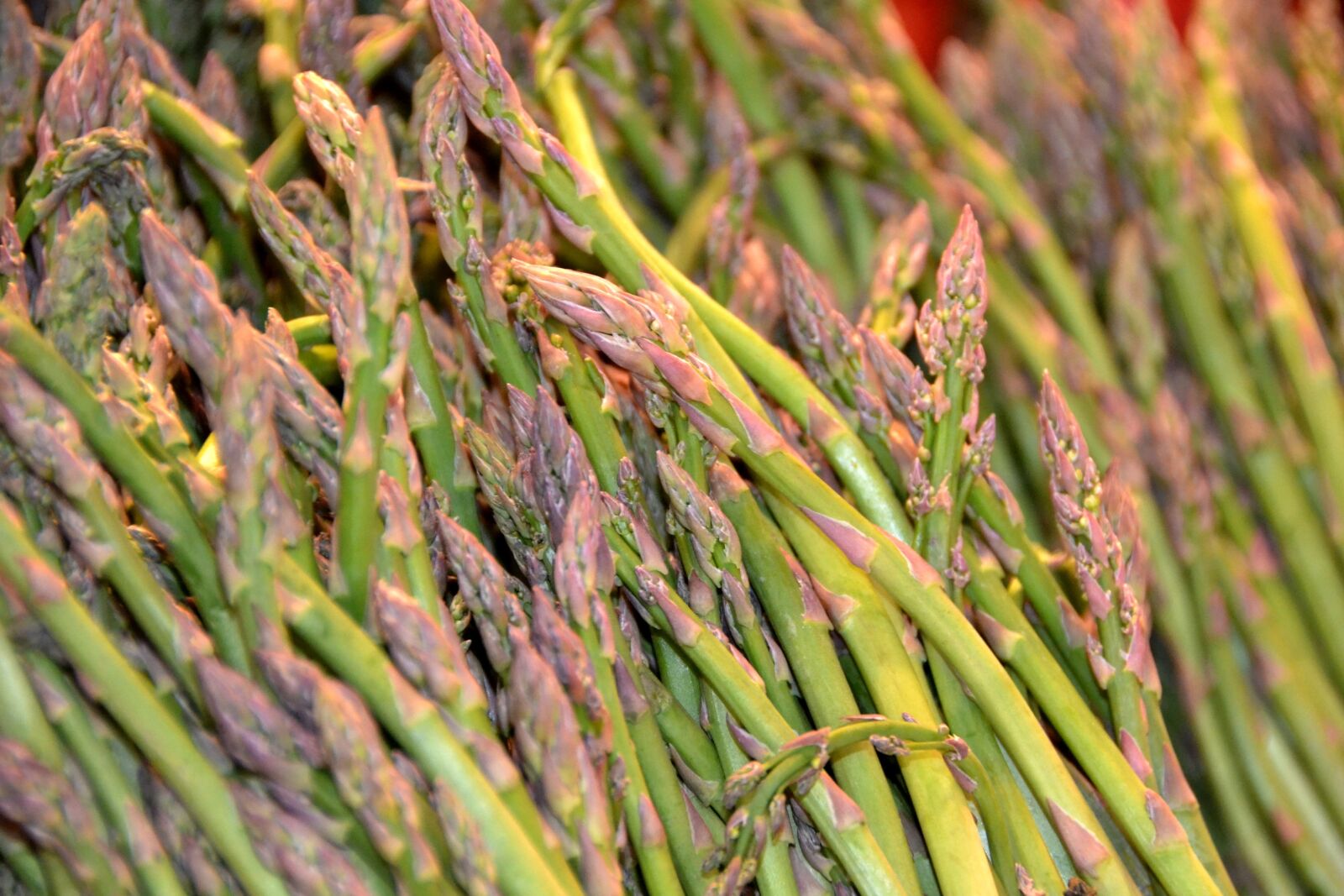 Nikon D3100 sample photo. Asparagus, vegetable, green photography
