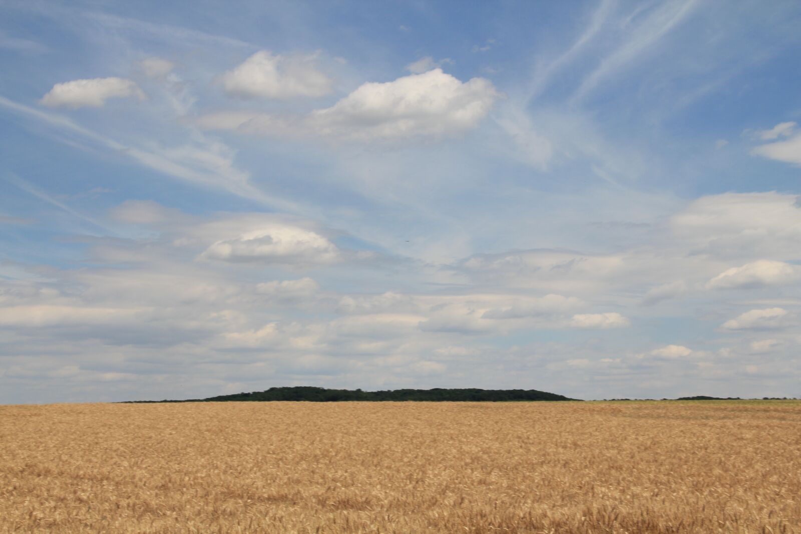 Canon EOS 550D (EOS Rebel T2i / EOS Kiss X4) sample photo. Landscape, austria, field photography