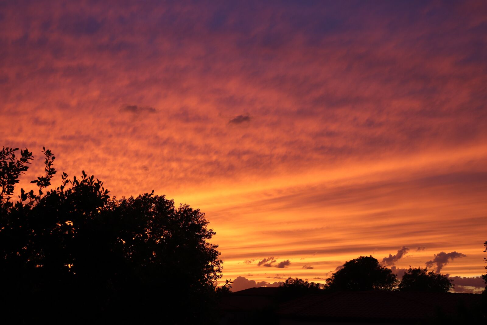 Canon EOS 200D (EOS Rebel SL2 / EOS Kiss X9) sample photo. Arizona, sunset, landscape photography