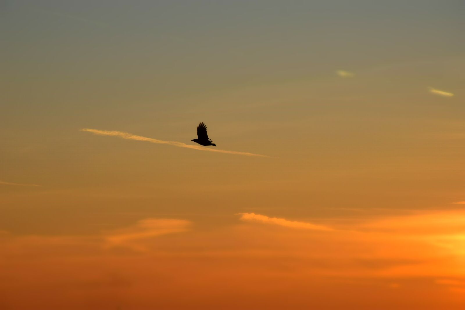 Nikon D5300 sample photo. Background, clouds, heaven photography