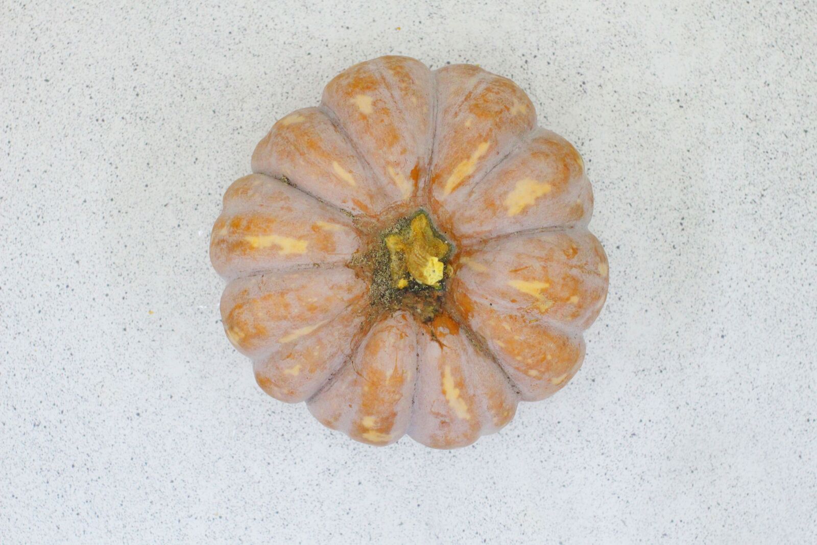 Canon EOS 650D (EOS Rebel T4i / EOS Kiss X6i) sample photo. Asia, taiwan, pumpkin photography