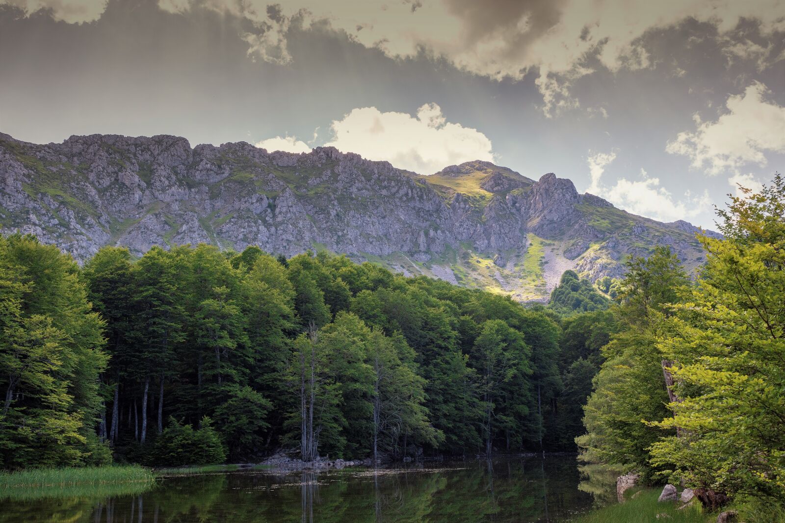 Tamron SP 24-70mm F2.8 Di VC USD sample photo. Green, mountain, landscape photography