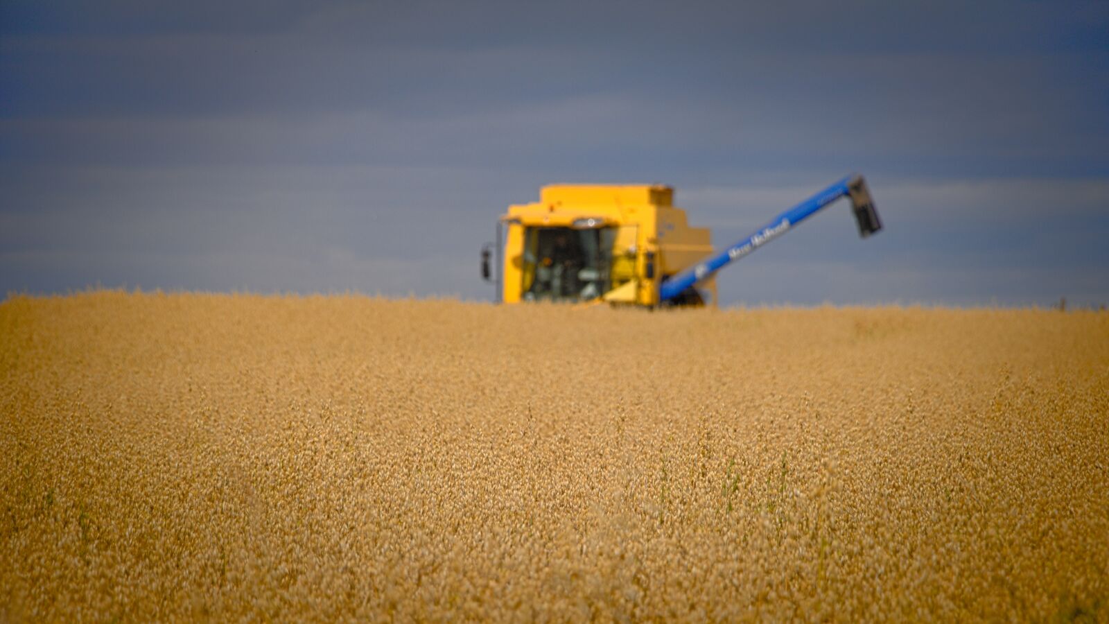 Canon EOS 750D (EOS Rebel T6i / EOS Kiss X8i) sample photo. Cereal, field, harvesting photography