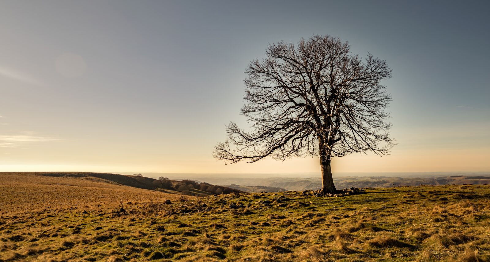 Nikon D5300 sample photo. Tree, fall, nature photography