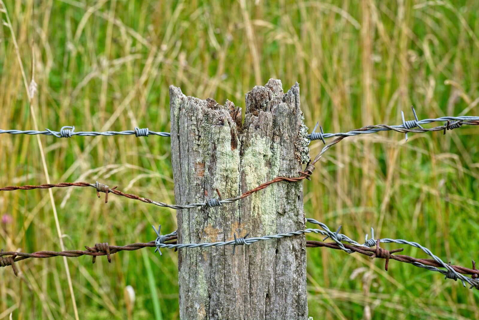 Nikon D7100 sample photo. Barbed wire, post, old photography