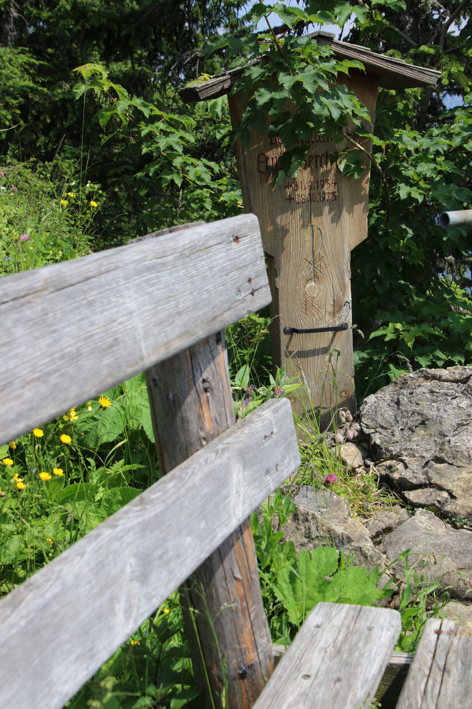 Canon EOS 7D Mark II sample photo. Bench, garden, green, rest photography