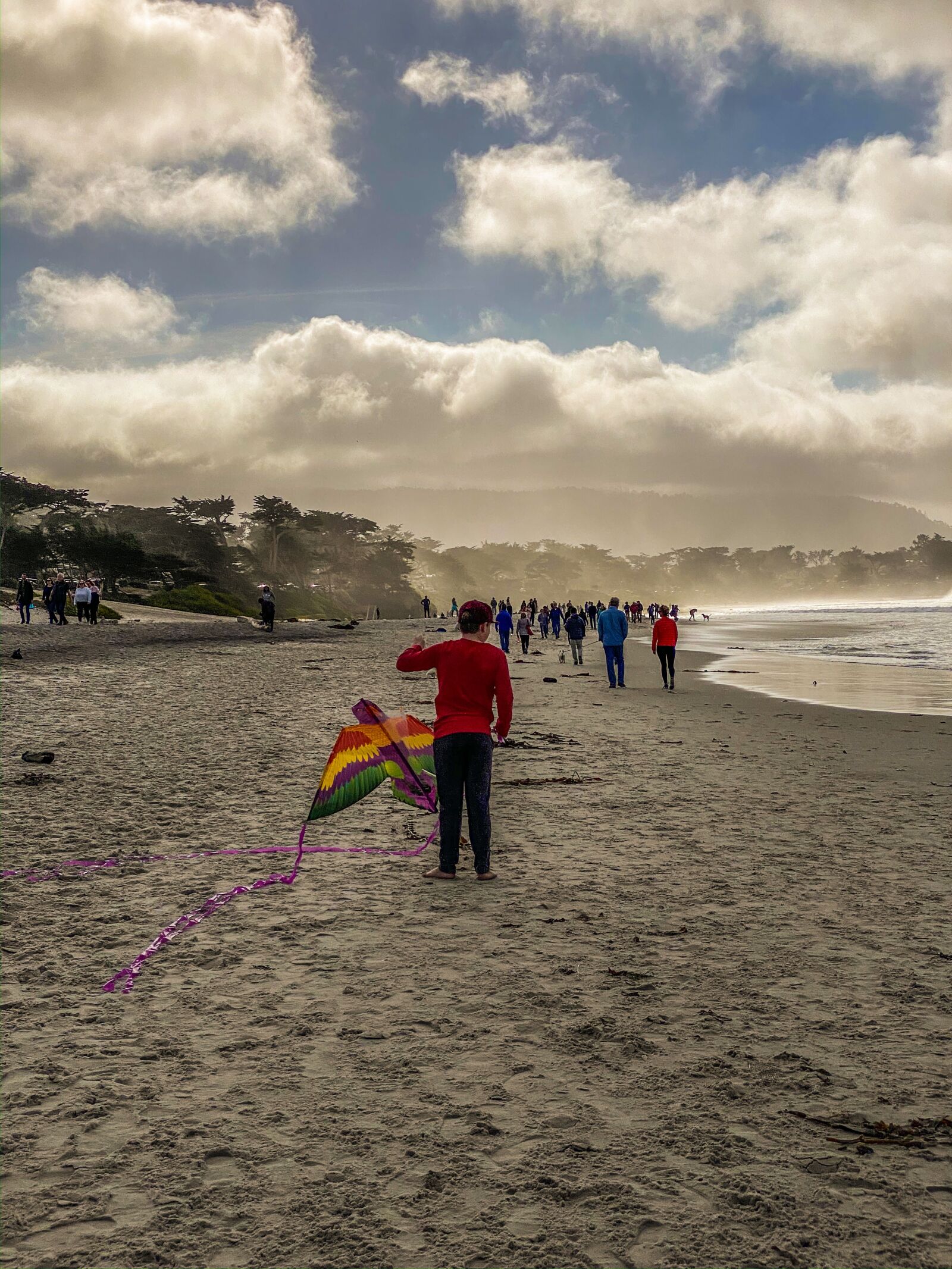 Apple iPhone 11 Pro sample photo. Beach, kite, water photography