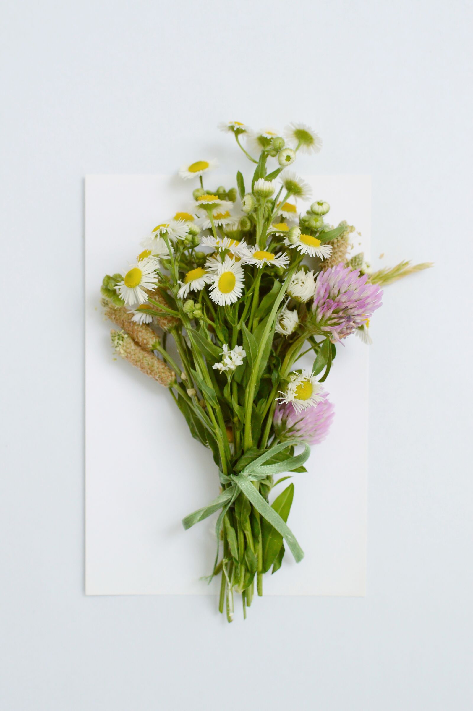 Nikon D3200 sample photo. Postcard, bouquet, white photography