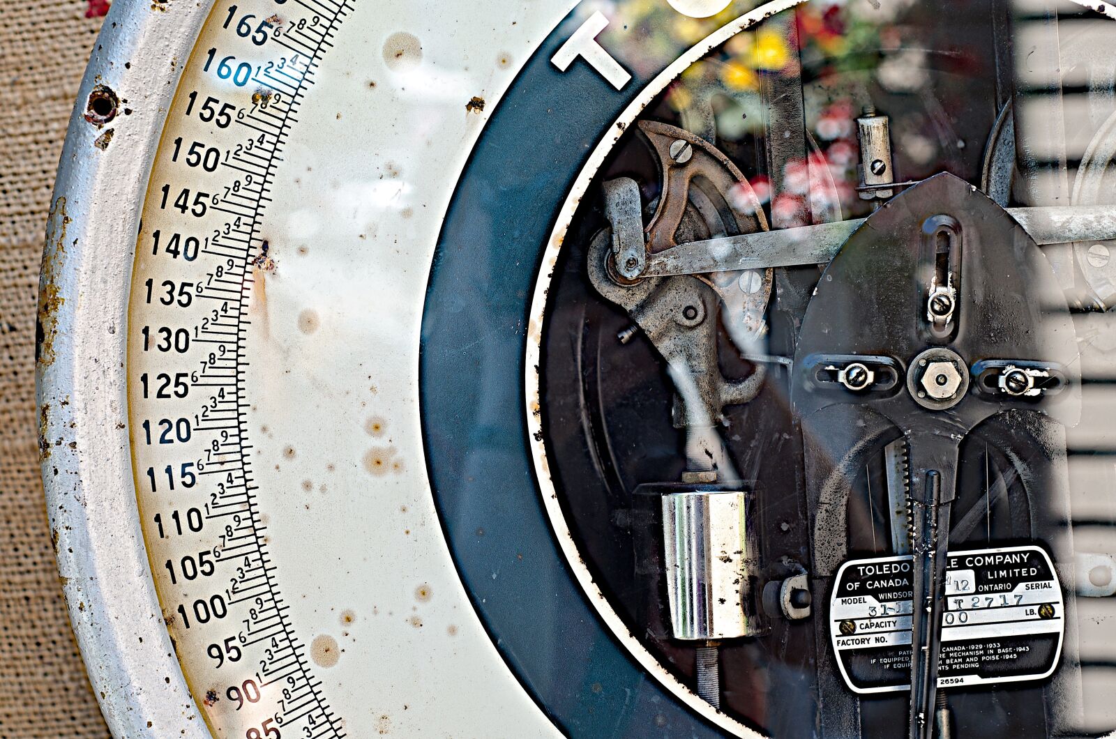 Nikon D7000 sample photo. Scale, market, industrial photography