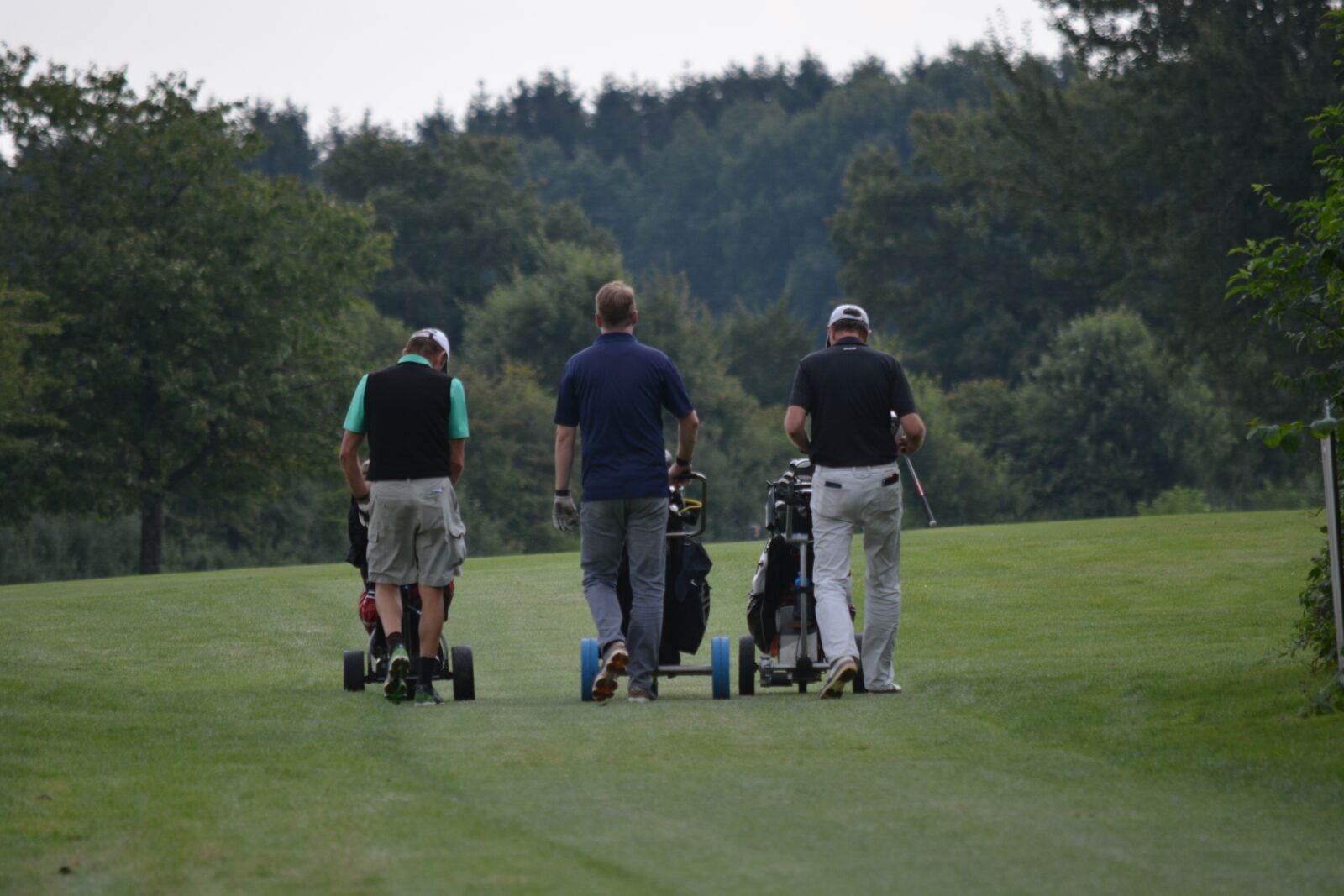 Nikon D7100 sample photo. Golf, jersbek, mecklenburg photography