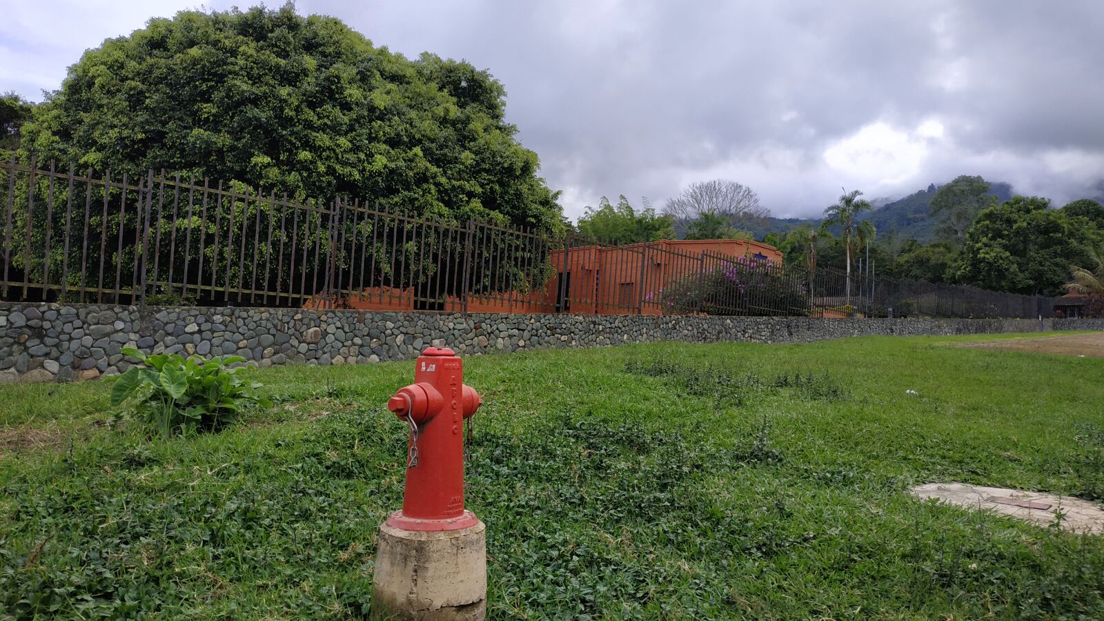 Xiaomi Redmi Note 5 sample photo. Water hydrant, hydrant fire photography