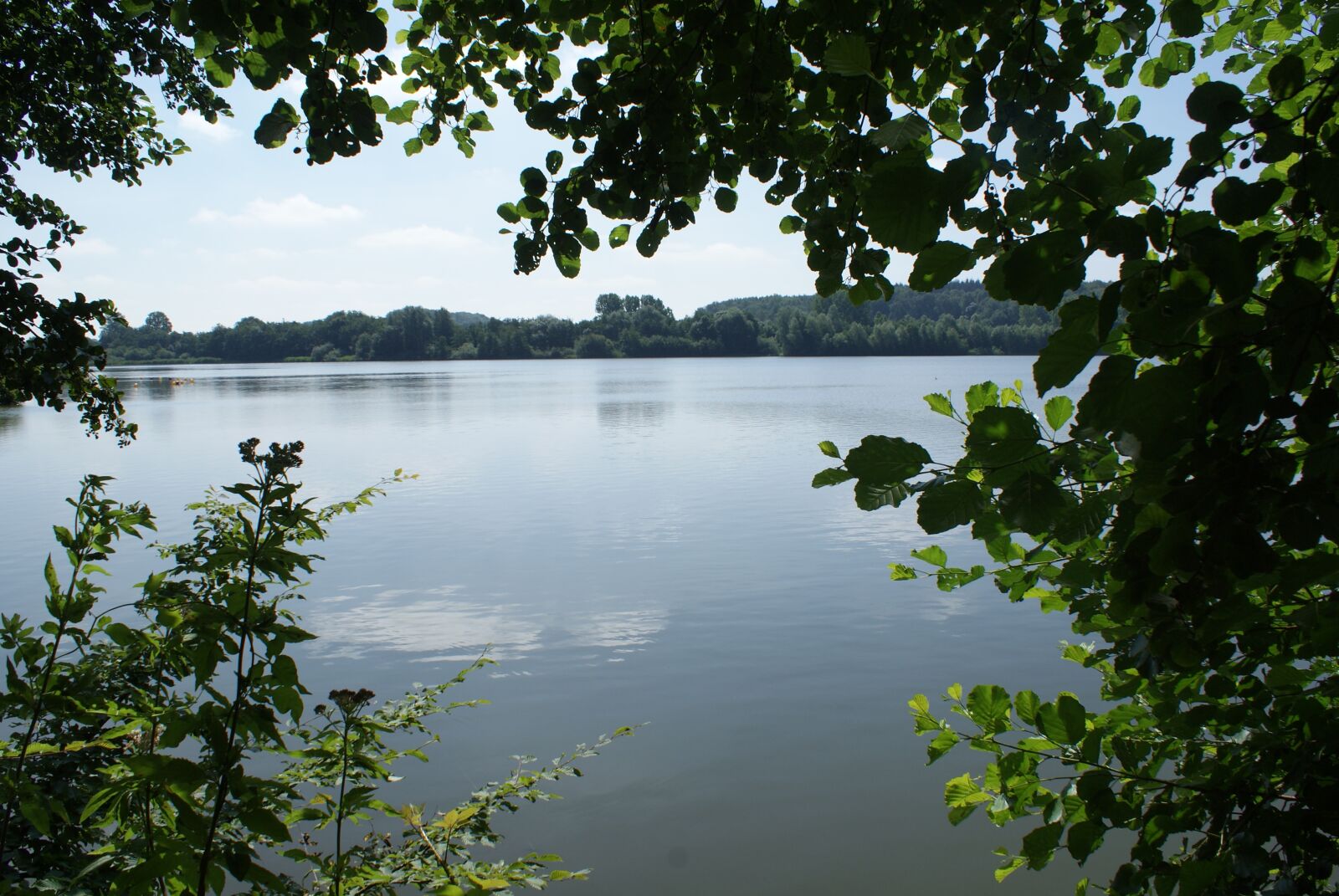 Sony Alpha DSLR-A200 sample photo. Lake, landscape, nature photography