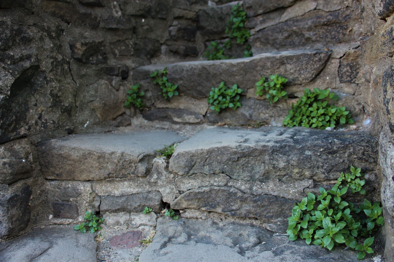 Canon EOS 700D (EOS Rebel T5i / EOS Kiss X7i) sample photo. Stairs, stone, gradually photography