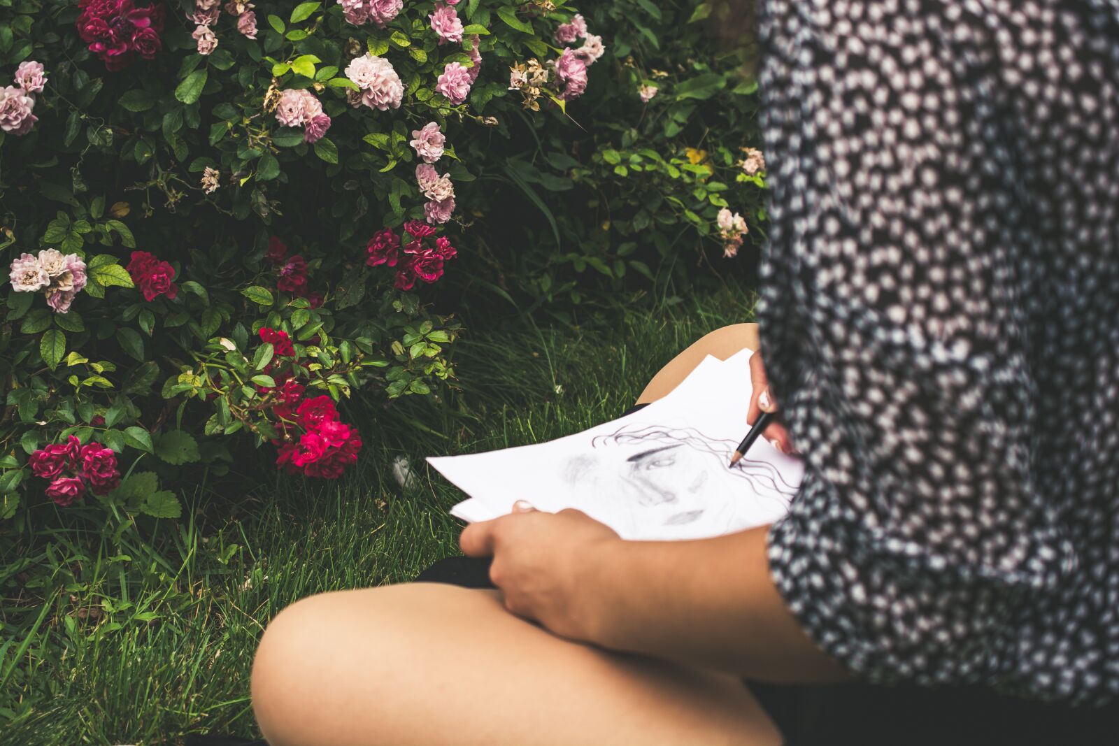 Nikon D5200 sample photo. Draw, flowers, nature photography