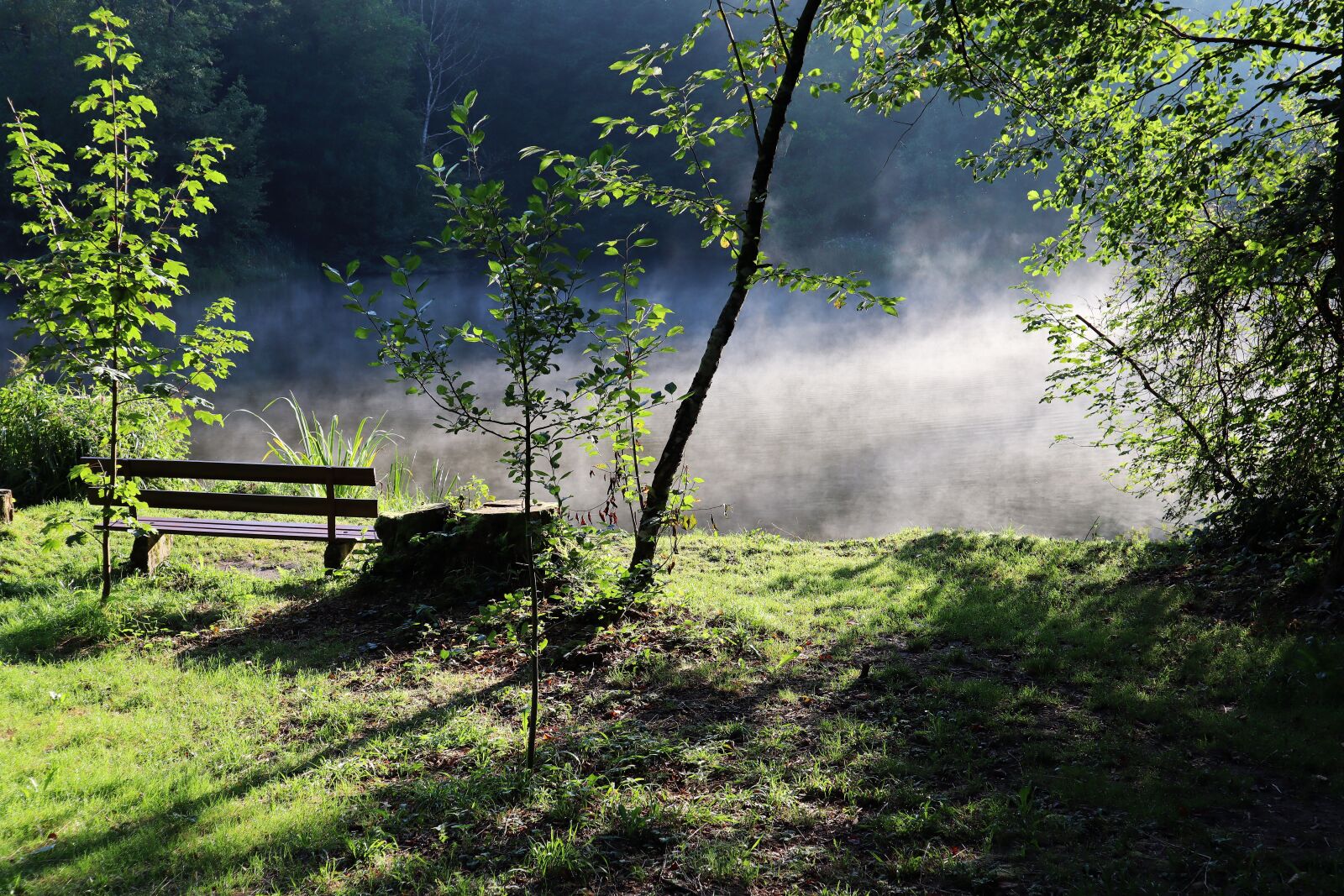 Canon EF-M 15-45mm F3.5-6.3 IS STM sample photo. Autumn, fog, silent photography