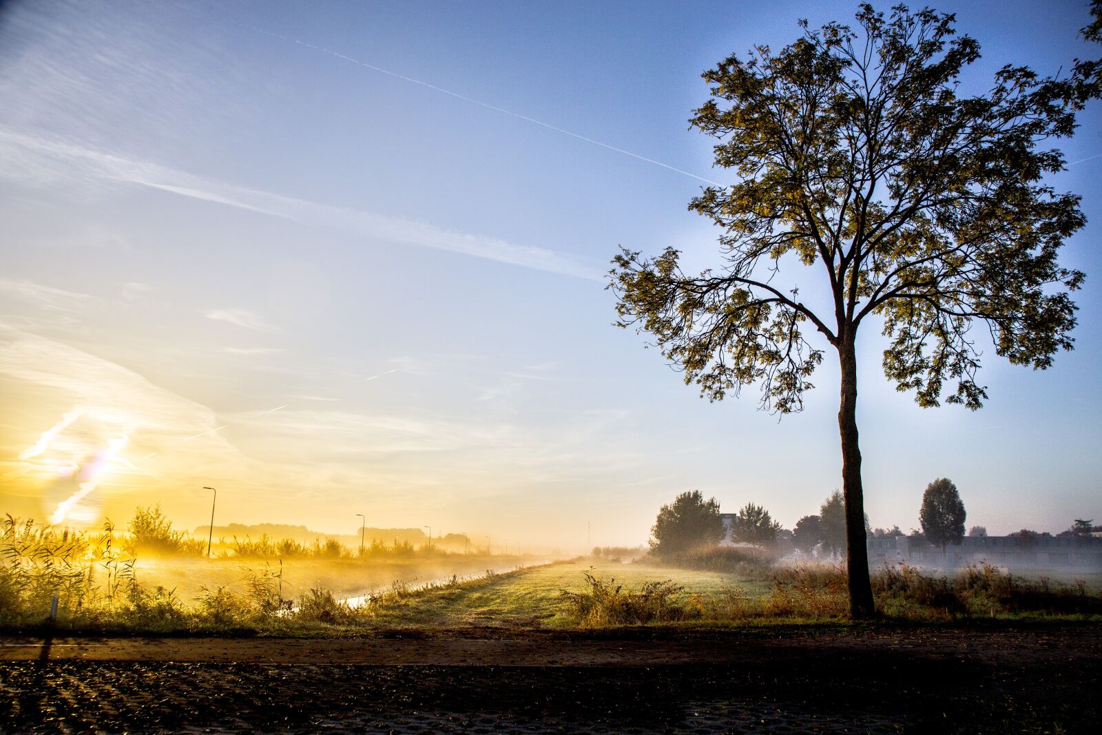 Canon EOS 6D + Canon EF 24-105mm F4L IS USM sample photo. Tree, kanaallandschap, channel photography