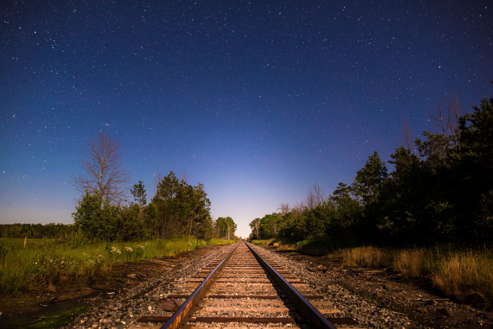 Nikon D810 sample photo. Night, train tracks, railroad photography