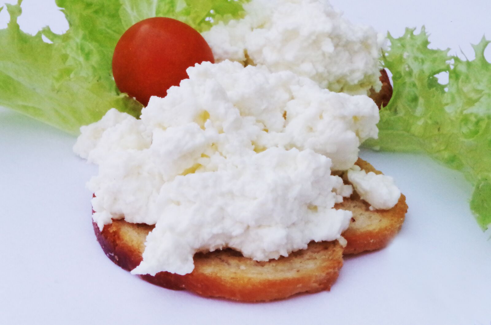 Pentax K-500 sample photo. Curd, cheese, sandwich photography