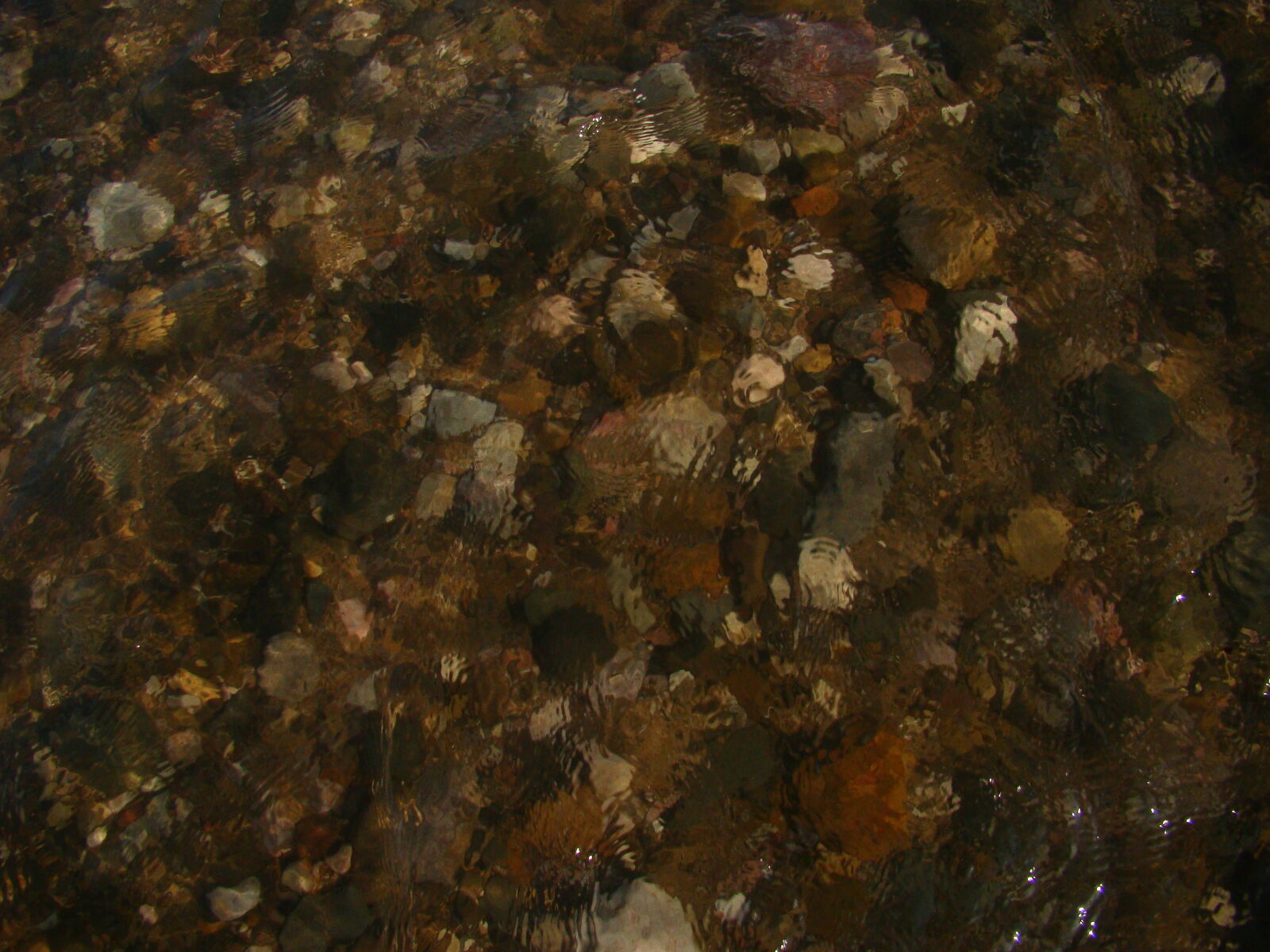 Sony Cyber-shot DSC-H50 sample photo. Texture, under, water photography