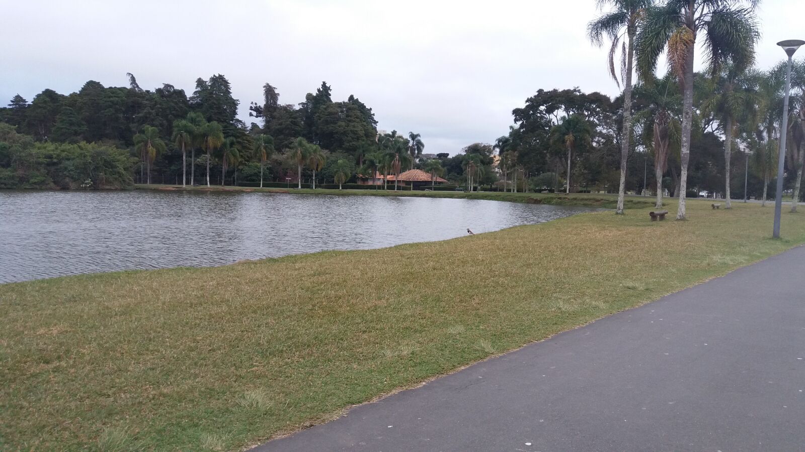 Samsung Galaxy J5 sample photo. Park, nature, landscapes photography