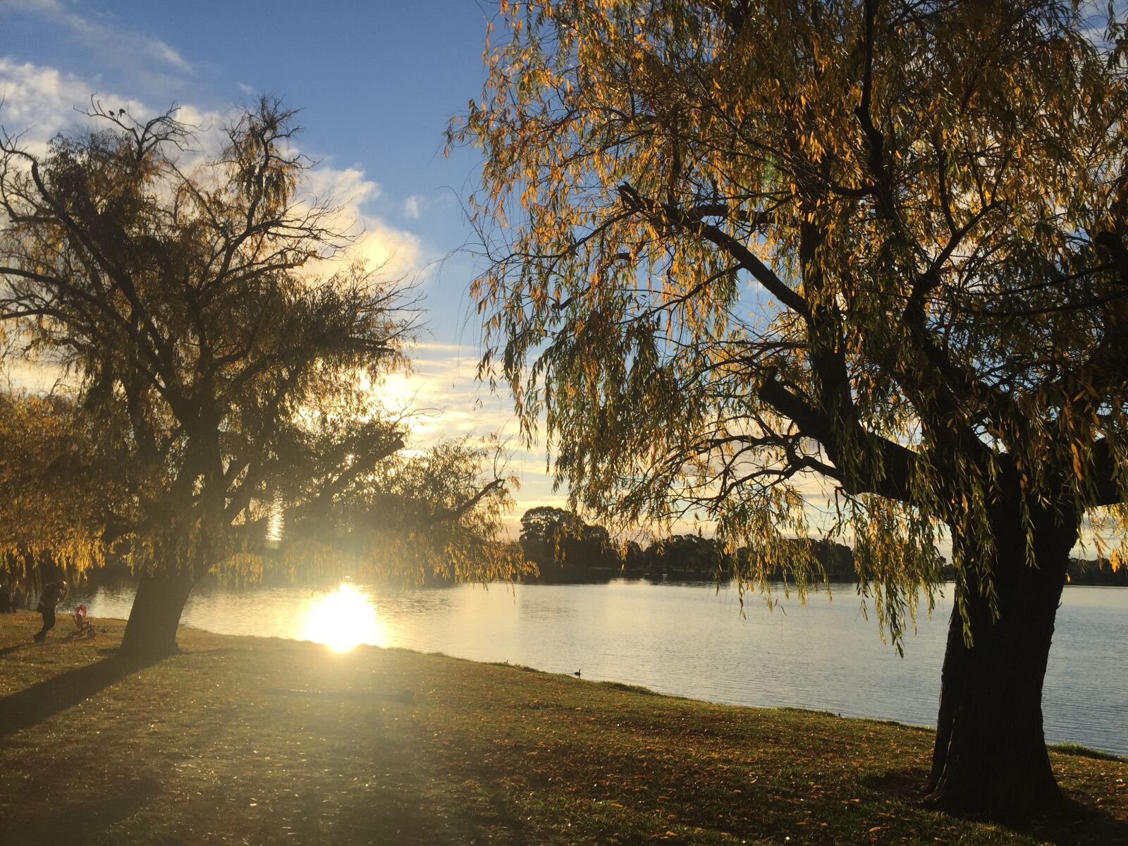 iPhone 6 Plus back camera 4.15mm f/2.2 sample photo. Riverside, sunset, trees photography