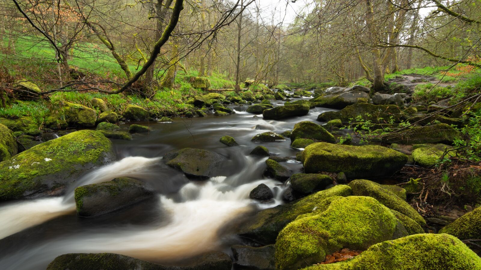 Tokina AT-X Pro 11-16mm F2.8 DX II sample photo. Hardcastle crags, yorkshire, river photography