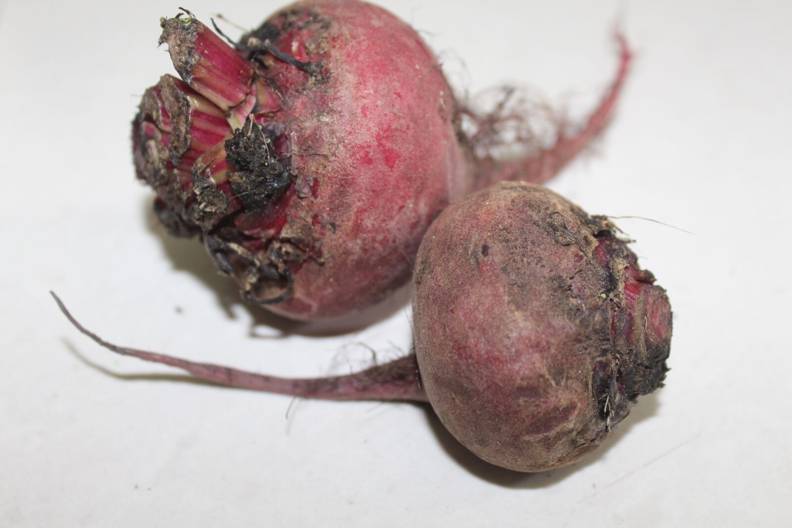 Canon EOS 700D (EOS Rebel T5i / EOS Kiss X7i) + Canon EF-S 18-55mm F3.5-5.6 IS II sample photo. Beetroot, beetroots, food photography