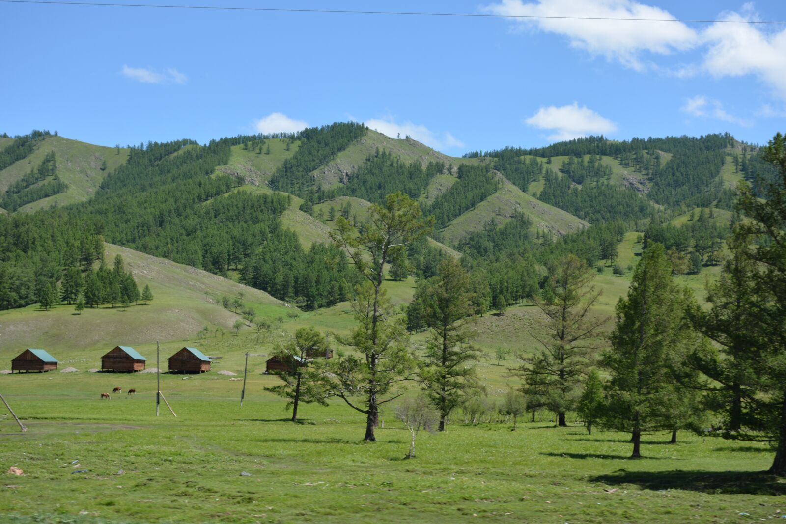 Nikon D7100 sample photo. Nature, summer, trees photography