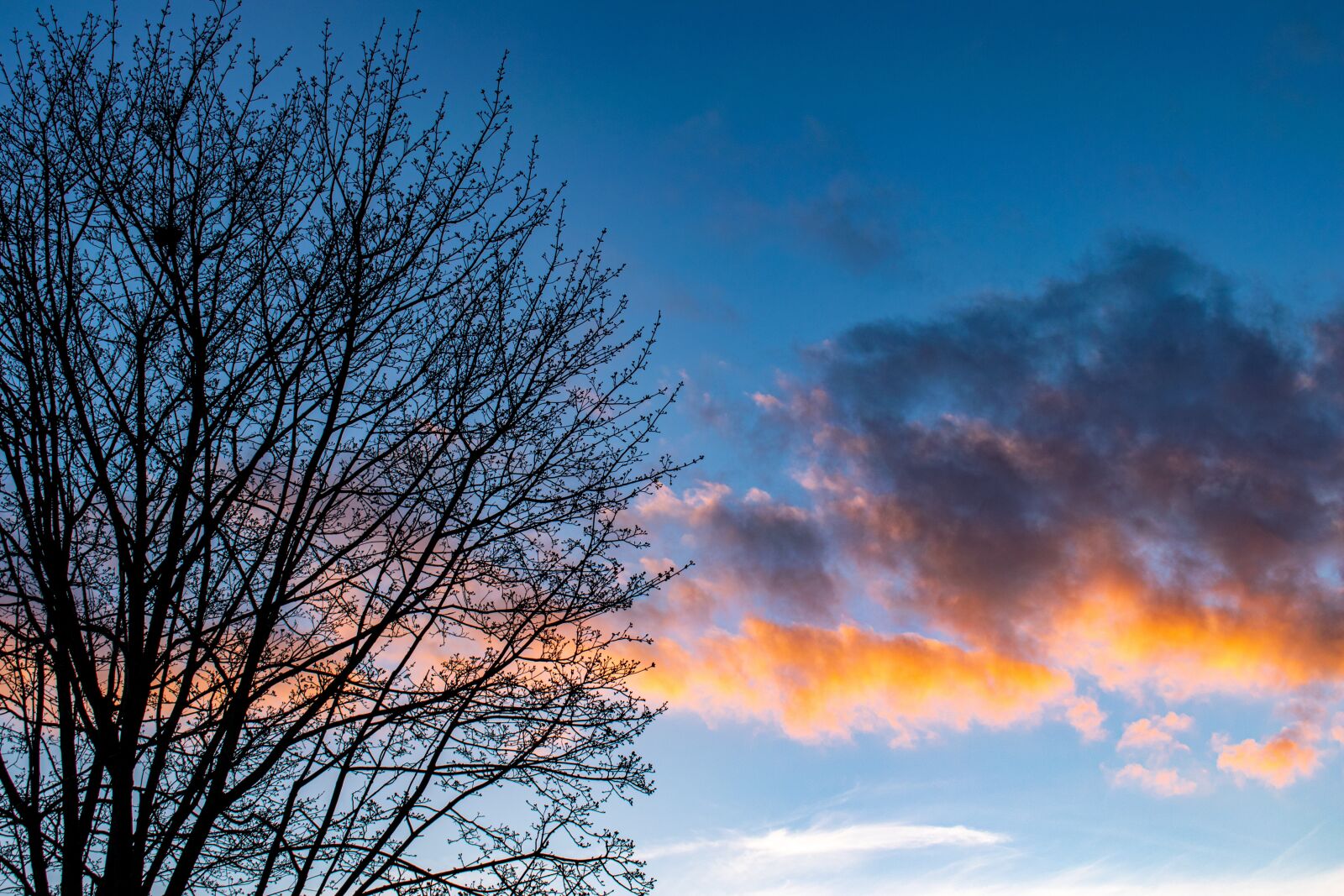 Nikon D5300 sample photo. Abendstimmung, clouds, sunset mood photography