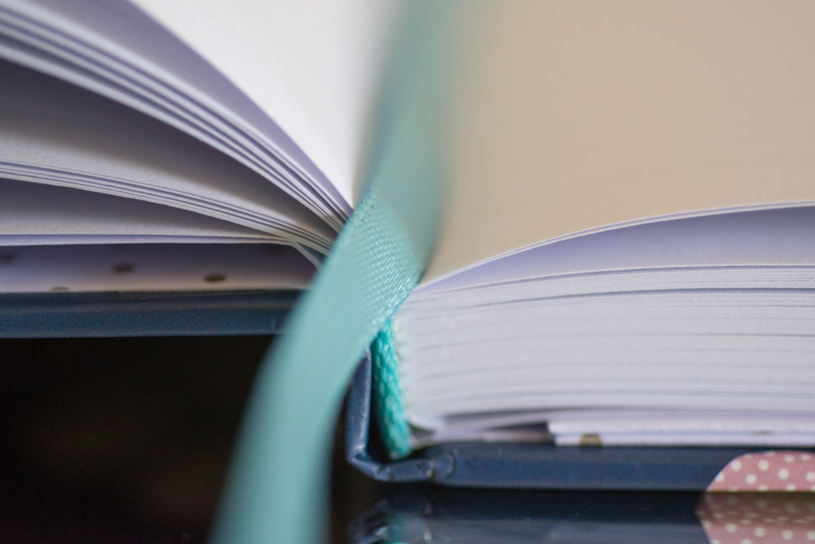 Nikon D610 sample photo. Notebook, rope, book photography