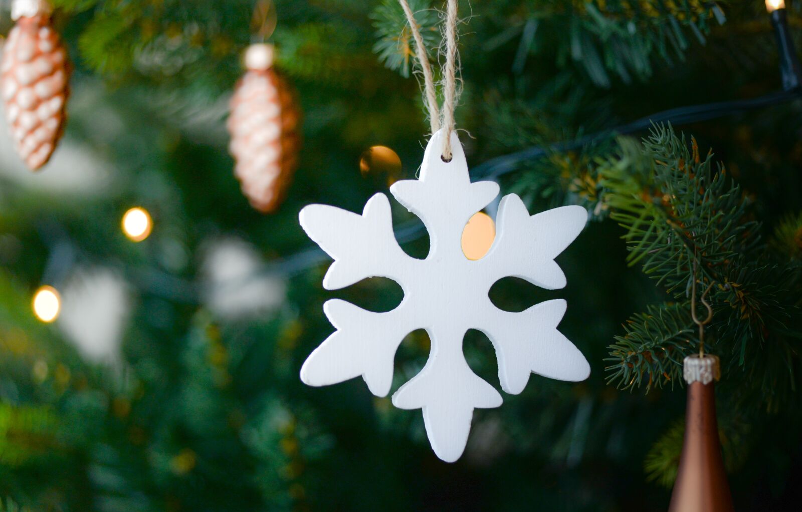 Nikon D610 sample photo. Christmas, tree, christmas tree photography