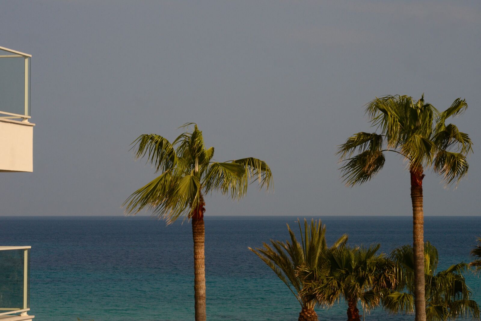 Nikon D600 sample photo. Summer, vacations, wind photography