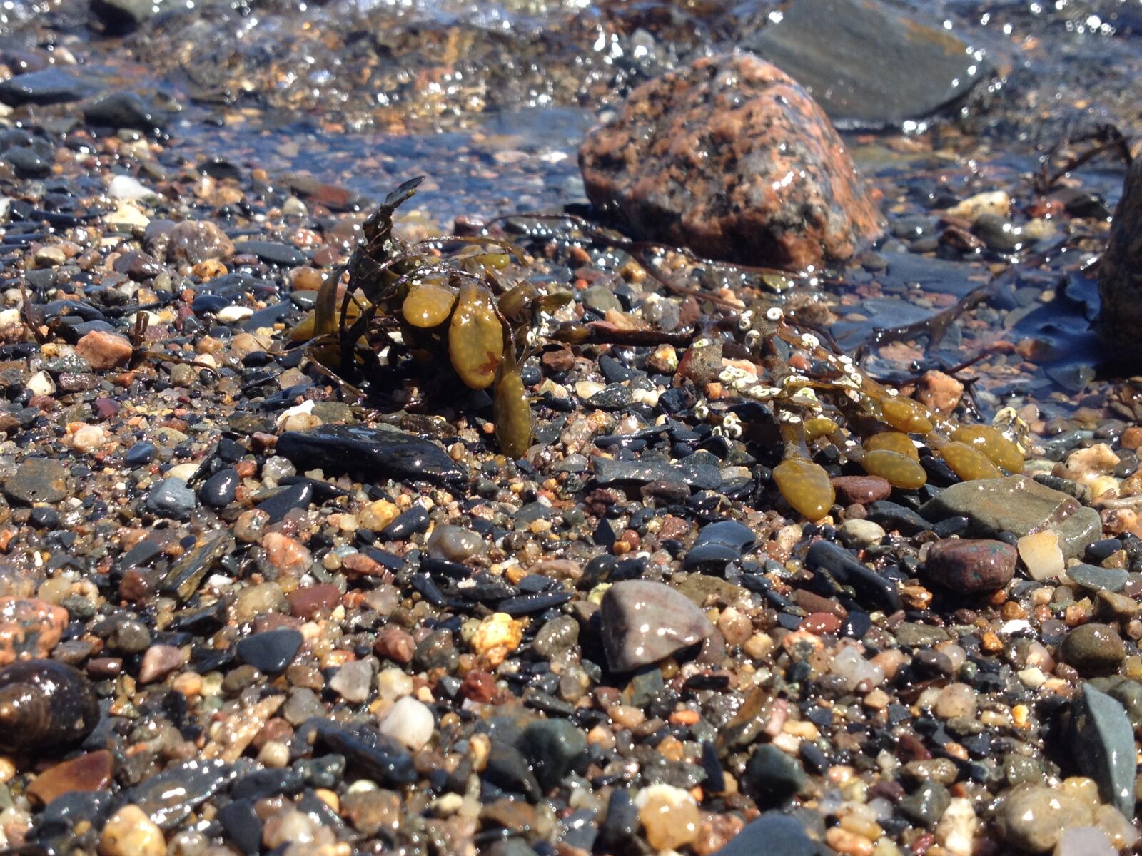 iPhone 4S back camera 4.28mm f/2.4 sample photo. Beach, ocean, rocks, sand photography