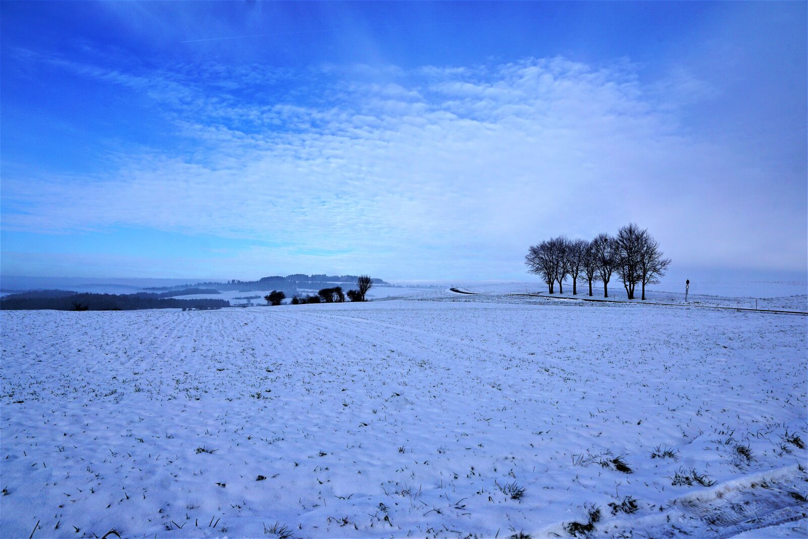 Sony ILCA-77M2 + Sony DT 16-50mm F2.8 SSM sample photo. Winter, snow, nature photography