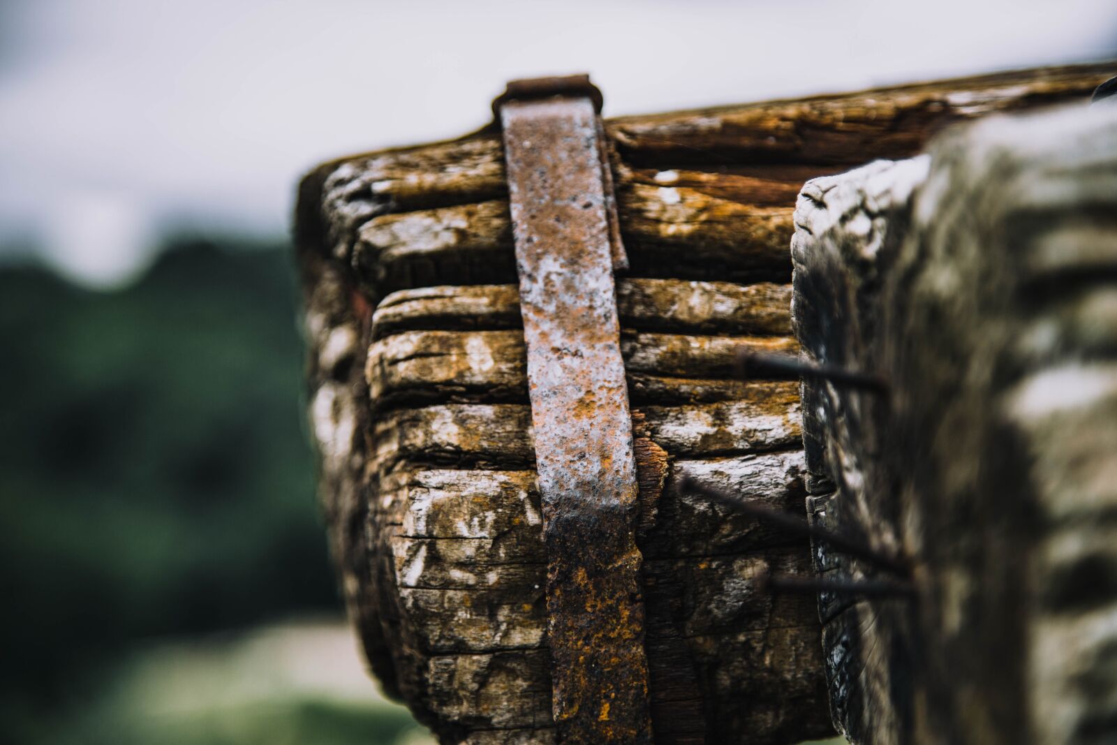 Canon EF 24-105mm F4L IS USM sample photo. Old, rust, rusty photography