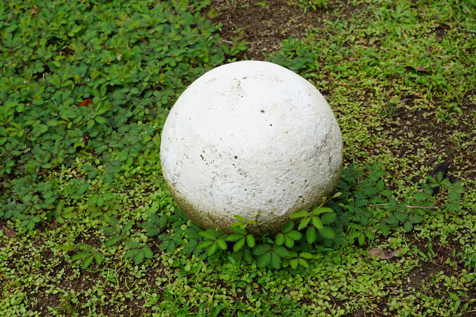 Sony DT 16-50mm F2.8 SSM sample photo. Costa rica, figure, stone photography