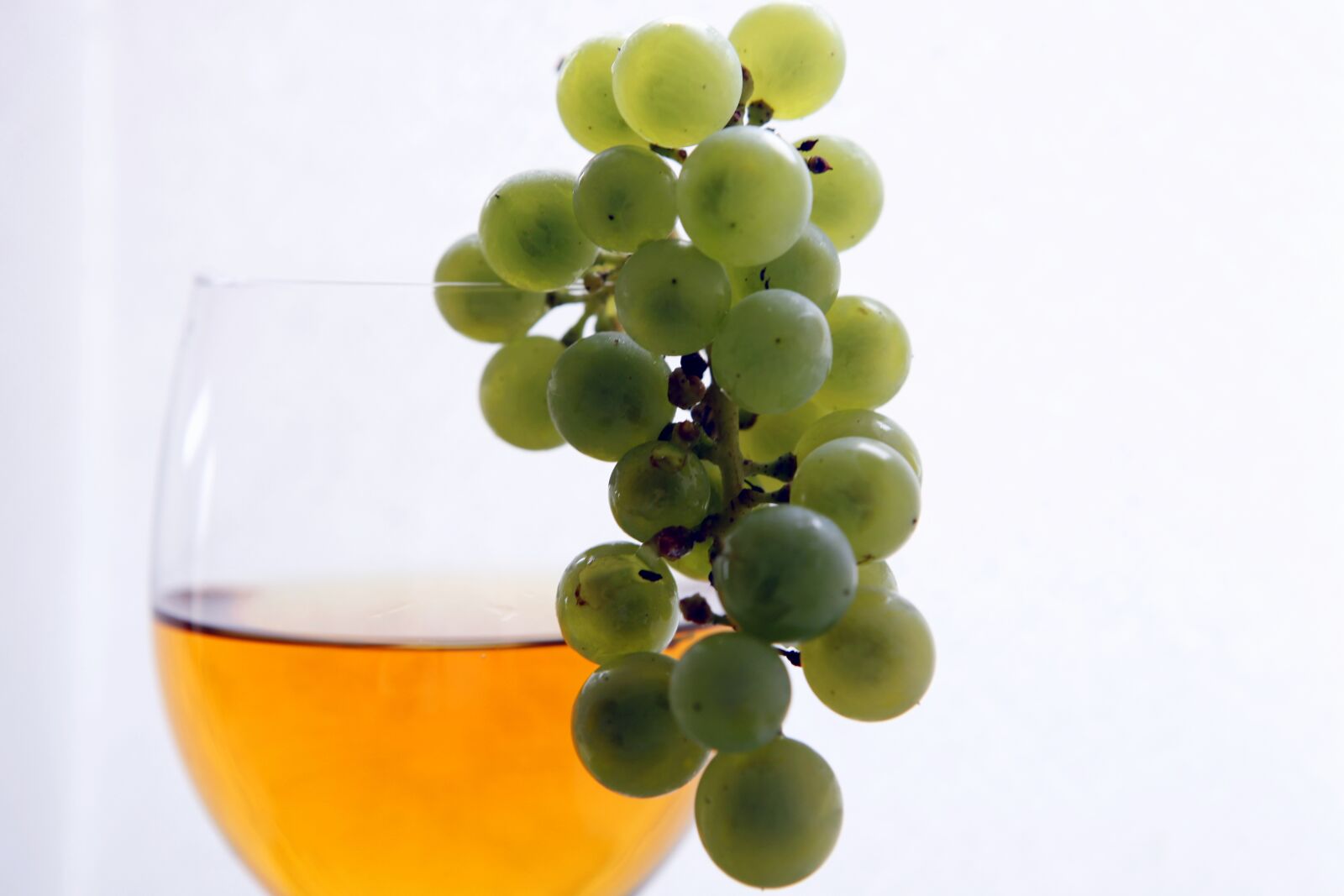 Canon EOS 5D Mark II sample photo. Wine, vintage, vines photography