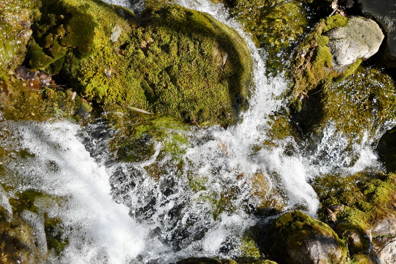 Nikon D5500 sample photo. Water, forest, river, structure photography
