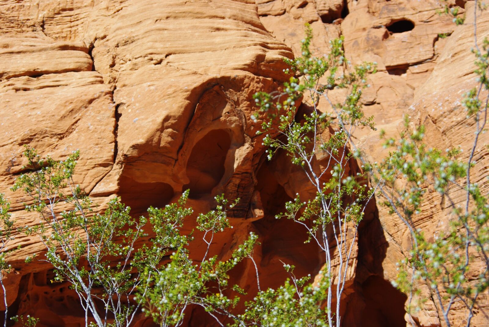 Pentax K200D sample photo. Valley of fire, red photography