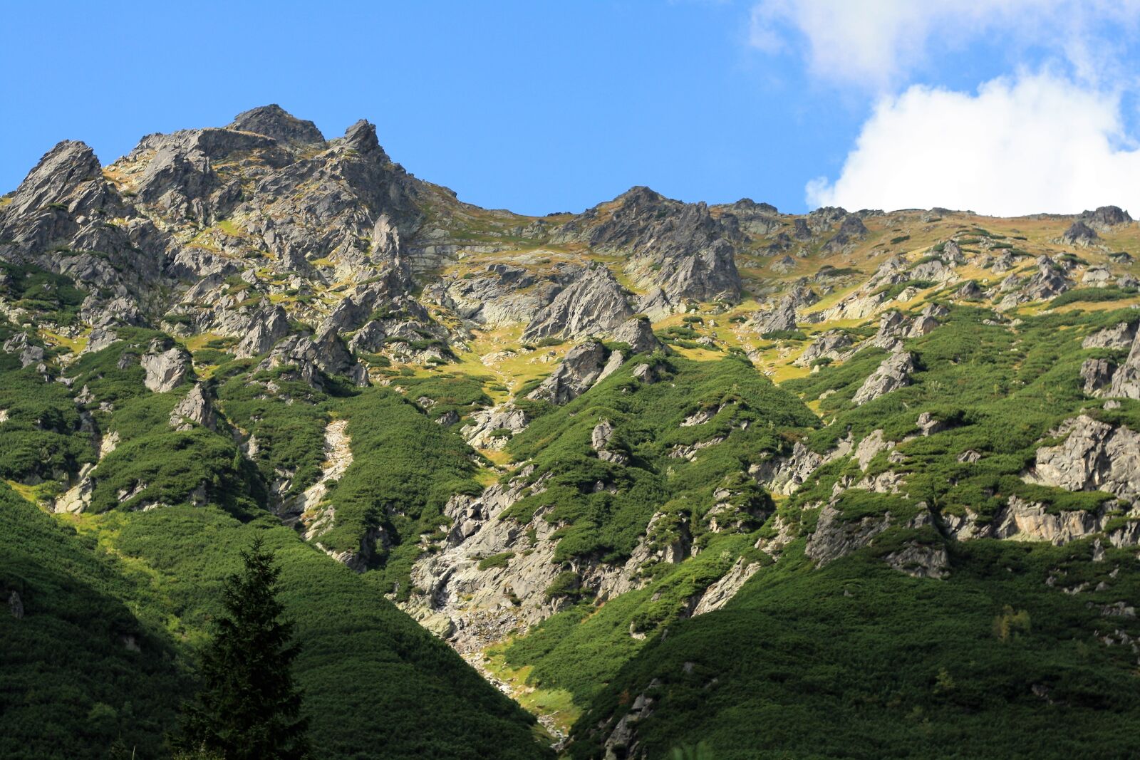 Canon EOS 1000D (EOS Digital Rebel XS / EOS Kiss F) sample photo. Mountains, buried, tatry photography