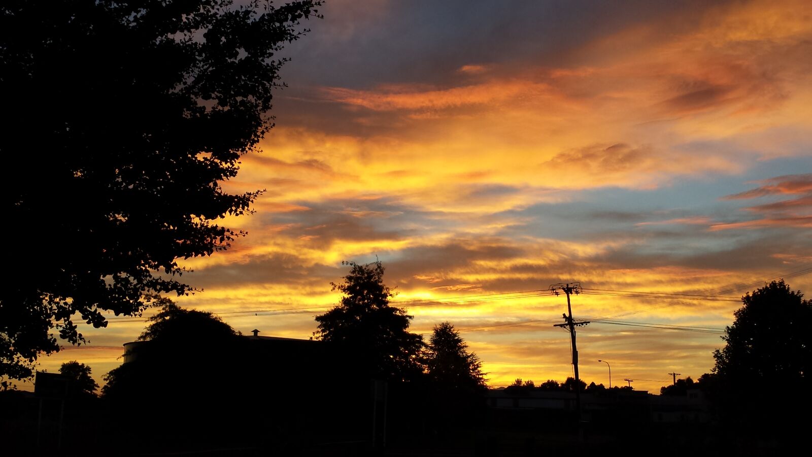 Samsung Galaxy S4 sample photo
