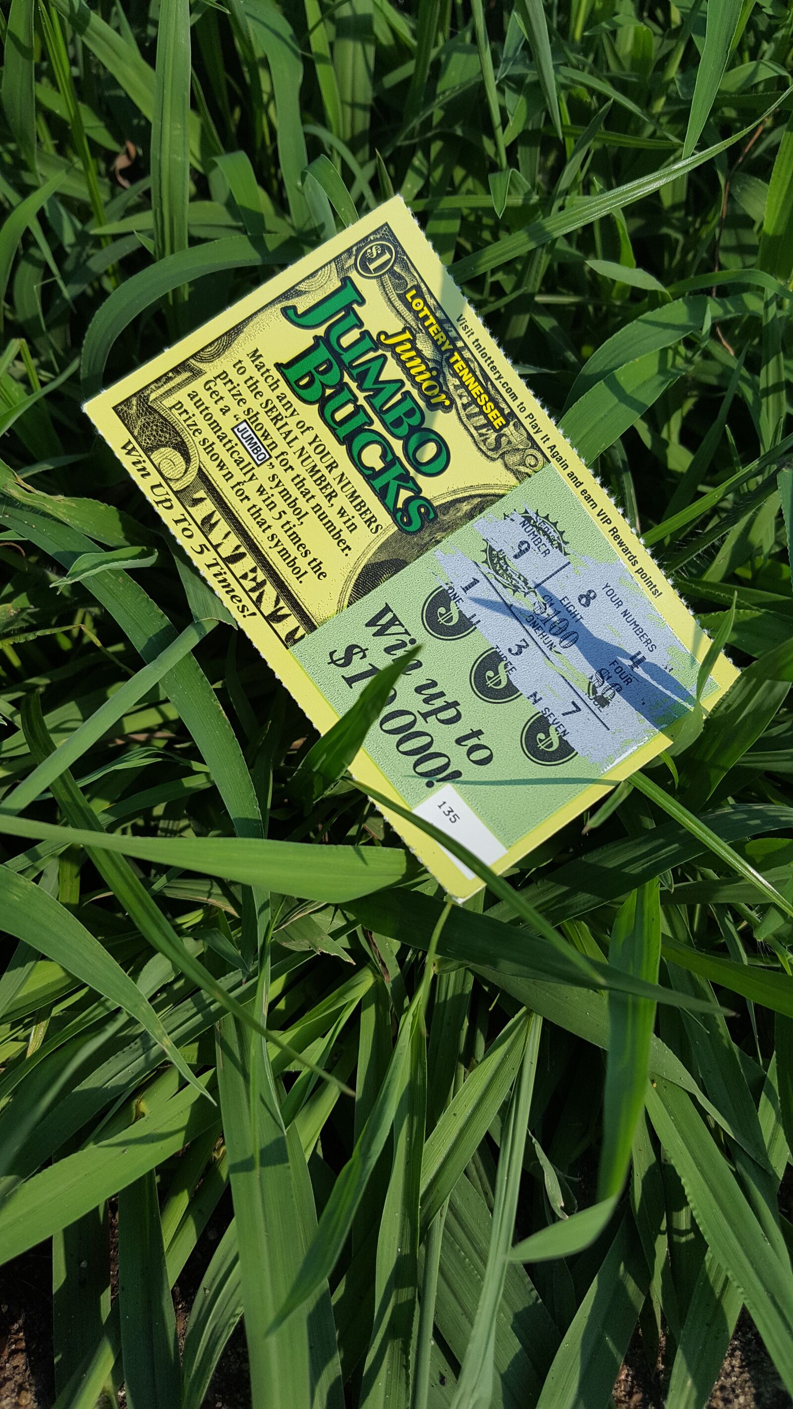 Samsung Galaxy S6 sample photo. Lotto, ticket, guess photography