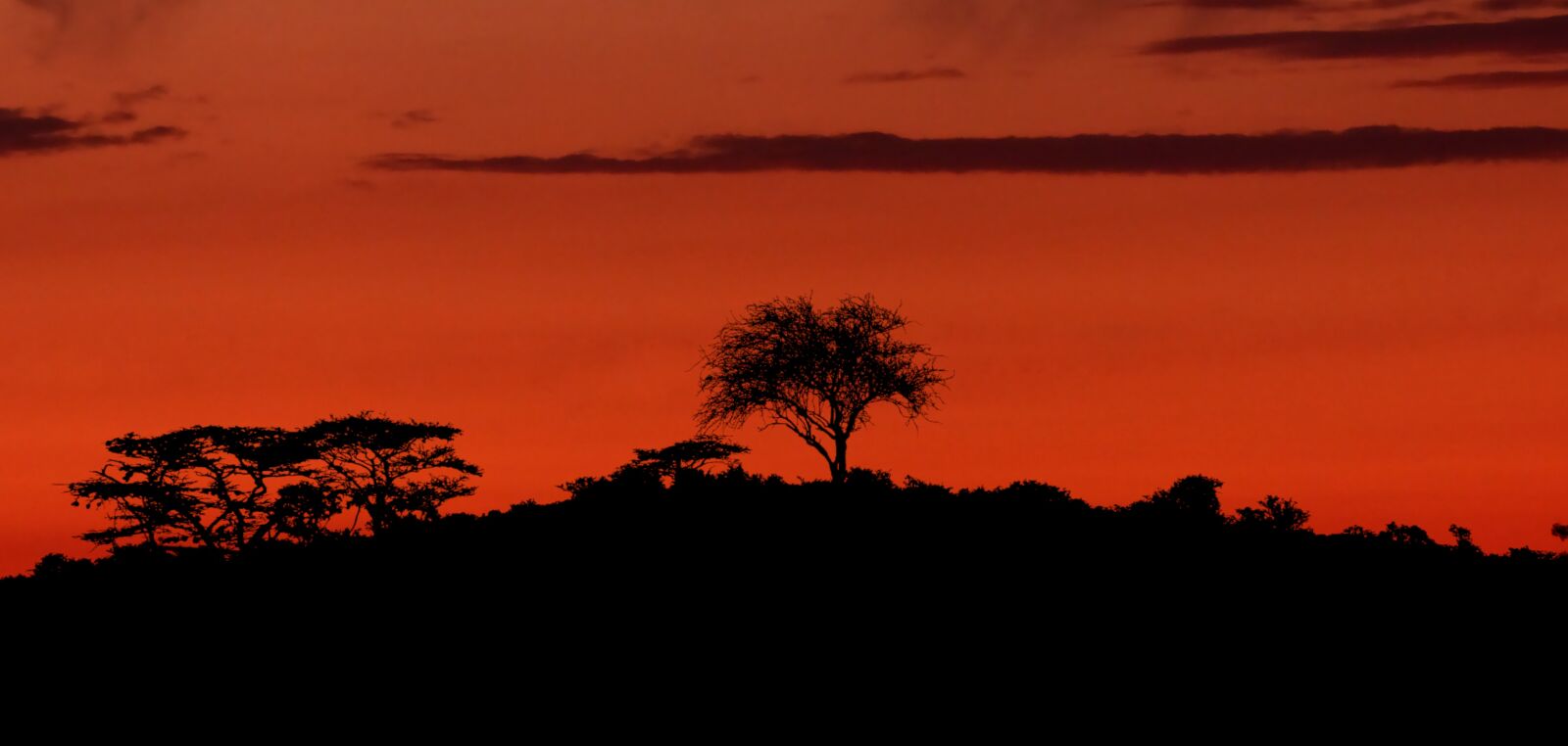 Panasonic Lumix DMC-FZ200 sample photo. Sunset, nature, landscape photography